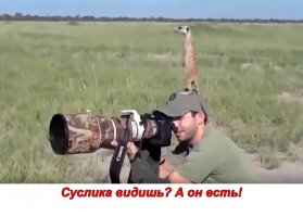 Звезда или нет, но с фотоаппаратом)