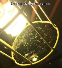 Паук - не гений, паук - маркетолог...