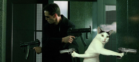 30 веселых фотографий с животными