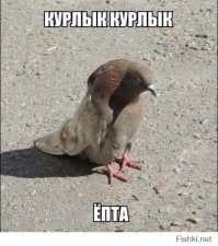 30 веселых фотографий с животными