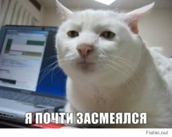 30 веселых фотографий с животными