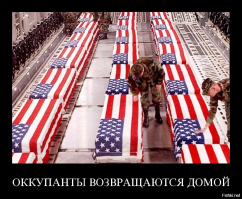 Солдат остался рядом со своим псом до самого конца