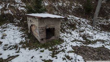 А дом для уточки был бы примерно таким.