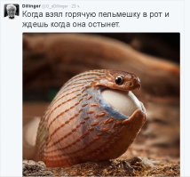 Впихнуть невпихуемое