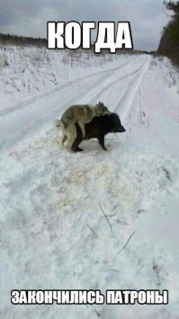 напомнило: