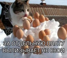 Прикольное фото