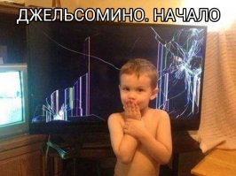 Прикольное фото