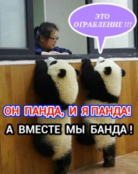 Прикольное фото