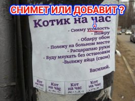 Прикольное фото