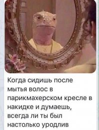 Жизнь в графиках