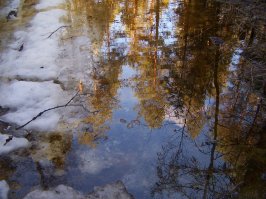 Архангельская обл, Россия.