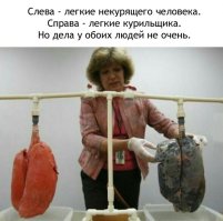 Картинки с надписями