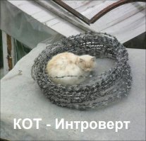 Большая подборка прикольных картинок