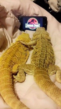 бро, подожди, не уходи, ща нас покажут ... :)