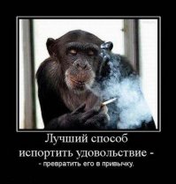 История марки сигарет "Camel"