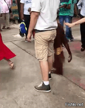 проверка пола