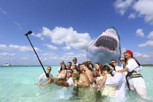 Свадьба посреди океана, прошедшая буквально по пояс в воде