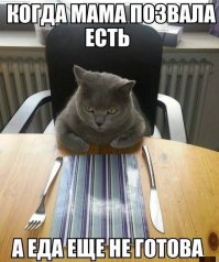 Прикольное фото