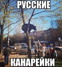 Прикольное фото