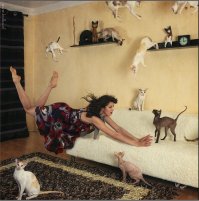 7 секунд - полёт нормальный