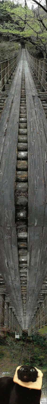 Головокружительно-искажённые пейзажи уходящие в небо