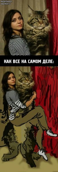 Эти фотографии доказывают, что чем больше собака - тем лучше