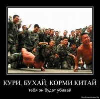 Топ-5 товаров, которые мы продаём китайцам