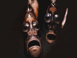 Супер пост! 
У меня долгое время был вопрос как выглядит певица Sia (потом появились фото) и как выглядят легкие больного муковисцидозом перед пересадкой, тк я занимаюсь больными мв и врачи говорили, что это выглядит плачевно. Как бы теперь это развидеть  
Ну, а в детстве было интересно что же находится на дне Марианской впадины