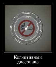  Подборка демотиваторов, которые поднимут вам настроение