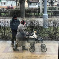 Бабка призрак)прозрачная