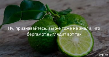 это на всякий случай, вдруг ктото пропустил