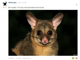 А на один комментарий выше прочесть сил не хватило?