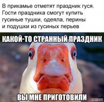 Интересное о гусях