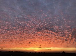 Фоткал в Момбасе, Кения