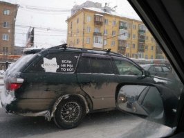 Весёлые картинки