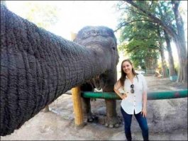 Про селфипалку слышал,но чтобы селфислон...