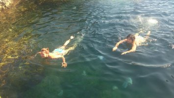 В Тарханкут ездили, так там этих медуз целая ферма. Плывешь и руками их отталкиваешь. Никто не ушел "обиженным". ;)