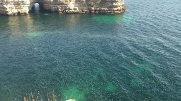 В Тарханкут ездили, так там этих медуз целая ферма. Плывешь и руками их отталкиваешь. Никто не ушел "обиженным". ;)