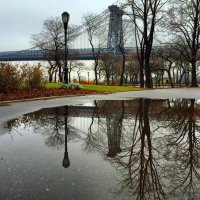 Параллельные миры городских луж