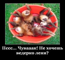 Лень как русская национальная идея