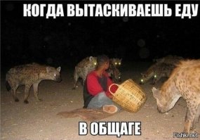 Смешная галерея фотоприколов