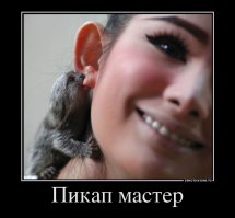 Сначала я подумал, что ей понравился