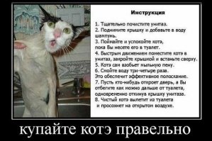 Смешные комментарии и высказывания из социальных сетей