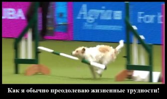 Для того, чтобы завоевать сердца зрителей необязательно быть победителем! 