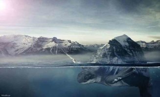 #Синий Кит ?   Нет, я играю в игру для взрослых - "Синяя" черепаха....