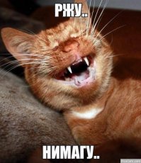 В США механическая коробка спасла машину от угона