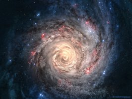 10 фактов о муравьях