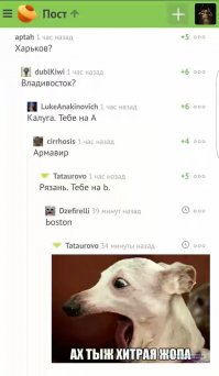 Смешные комментарии из социальных сетей