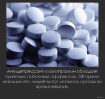 10 Интересных Фактов/3