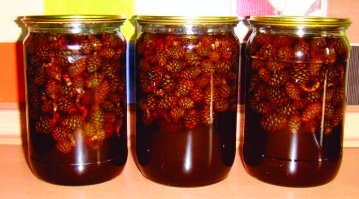 Варенье из сосновых шишек - это не лакомство, а лечебная "микстурка". Наберите в поисковике: рецепт варенья из шишек сосны...